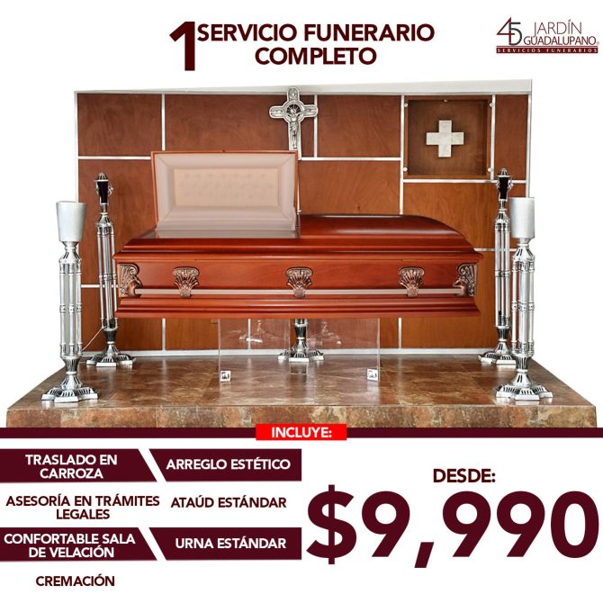 WhatsApp Image 2026-01-05 at 4.00.09 PM